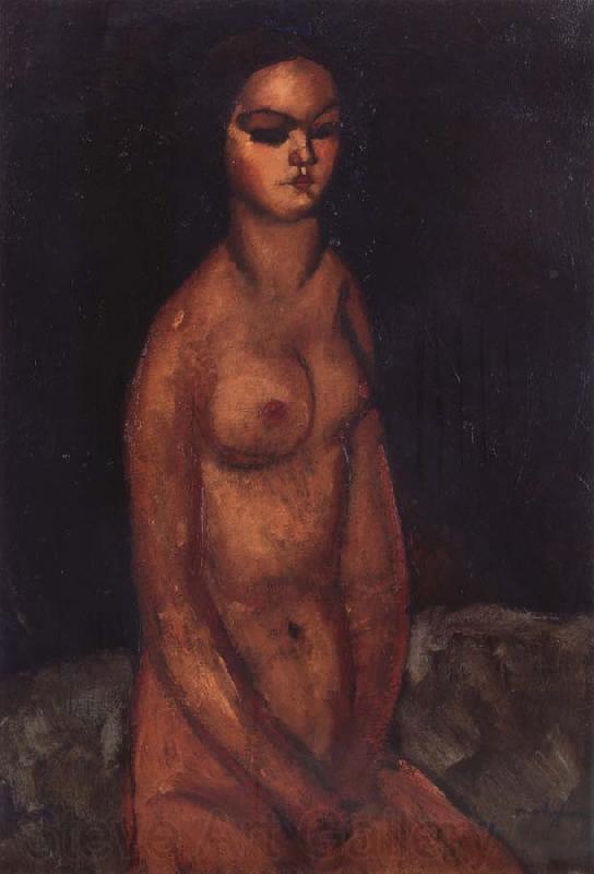 Amedeo Modigliani Nudo Seduto Norge oil painting art